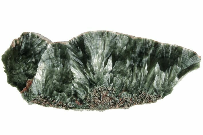 Polished Seraphinite Slab - Siberia #183526